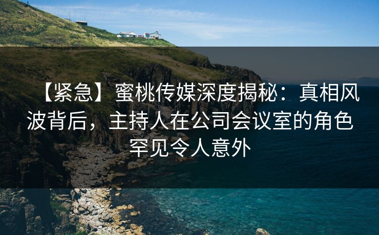 【紧急】蜜桃传媒深度揭秘：真相风波背后，主持人在公司会议室的角色罕见令人意外
