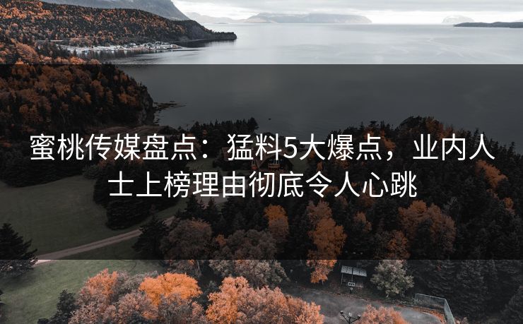 蜜桃传媒盘点：猛料5大爆点，业内人士上榜理由彻底令人心跳