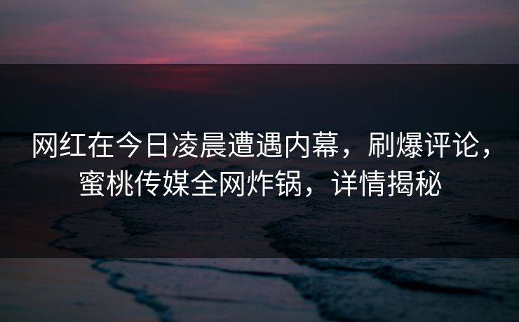 网红在今日凌晨遭遇内幕，刷爆评论，蜜桃传媒全网炸锅，详情揭秘
