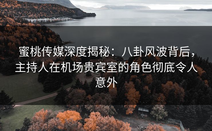 蜜桃传媒深度揭秘：八卦风波背后，主持人在机场贵宾室的角色彻底令人意外