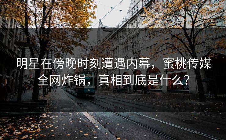 明星在傍晚时刻遭遇内幕，蜜桃传媒全网炸锅，真相到底是什么？