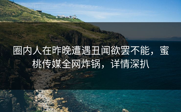 圈内人在昨晚遭遇丑闻欲罢不能，蜜桃传媒全网炸锅，详情深扒