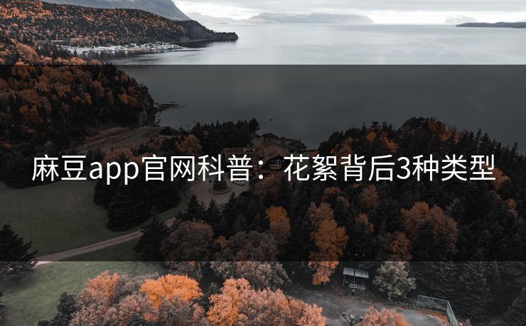 麻豆app官网科普：花絮背后3种类型