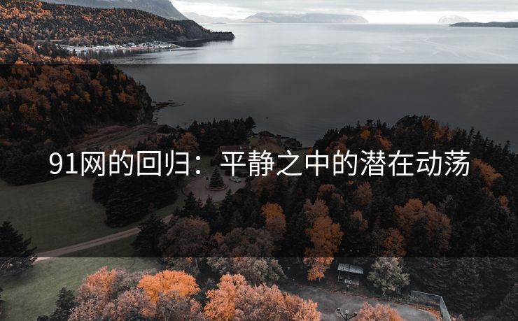 91网的回归:平静之中的潜在动荡 91网的回归:平静之中的潜在动荡